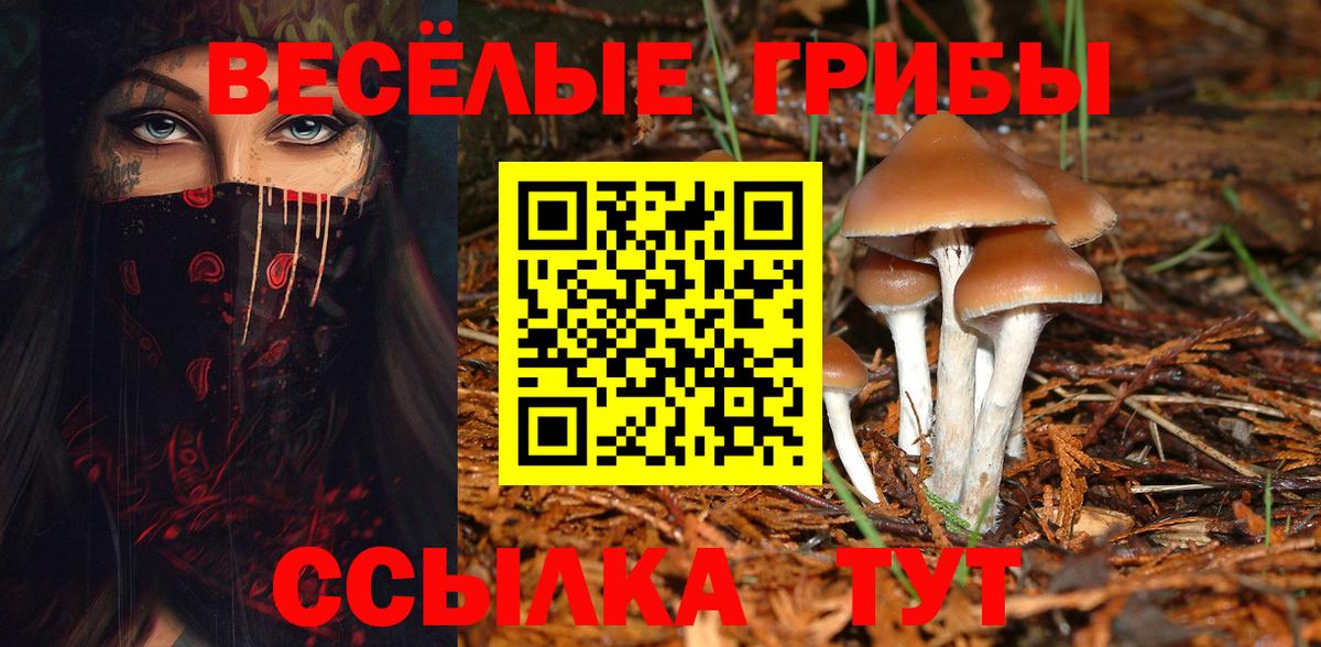 Галлюциногенные грибы MAGIC MUSHROOMS Нальчик